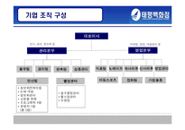 [경영정보시스템, mis] 태평백화점의 정보화 현황 분석-5