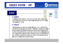 [경영정보시스템, mis] 태평백화점의 정보화 현황 분석-20