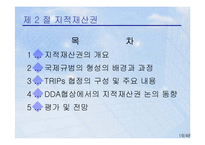 [국제통상] 상품외 거래 관련 국제통상규범-19