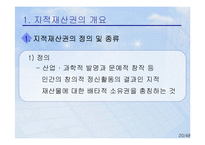 [국제통상] 상품외 거래 관련 국제통상규범-20