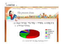 [마케팅] 태평양 라네즈 브랜드 전략 - 마케팅 분석과 전략을 중심-6