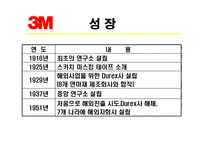 [다국적기업전략] 3M 다국적기업 성공사례-13