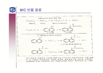 인도 보팔사건 레포트-12