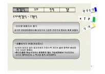 온라인게임 `퍼플카우`를 만들기 위한 마케팅전략-5