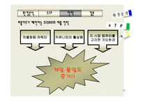 온라인게임 `퍼플카우`를 만들기 위한 마케팅전략-13