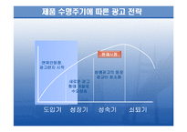 [광고학] 네이버지식인 광고 효과와 전략 분석-4