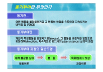 [조직관리] 동기부여 이론과 제도-3