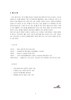 [서비스마케팅] 사우스웨스트항공의 서비스 전략-4