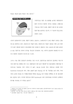 [경영전략] 아시아나 항공의 성장전략-6