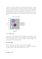 [광고경영] 동아오츠카의 ‘데자와’ 마케팅전략-13