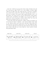 [마케팅] Trap-Ease`s America 사례연구-9