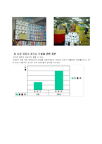 [국제마케팅] 남양유업의 베트남 진출-12