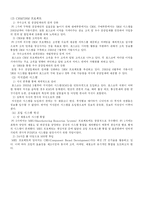 [경영학] 포스코의 PI의 시스템(포스피아) 성공요인분석-10