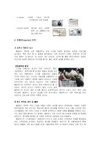 [국제마케팅](주)올림푸스 KOREA의 한국 시장 성공 전략-13