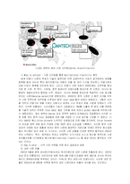 [국제경영] 팬택&큐리텔의 세계화-10