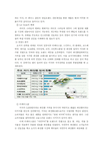 [온라인 브랜드 마케팅전략] `미샤`고객유지 및 고객 유입률 극대화를 위한 방안-11