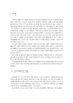 애니콜의 마케팅, 소비자행동 분석-1