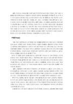 애니콜의 마케팅, 소비자행동 분석-7