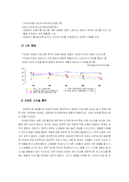 애니콜의 마케팅, 소비자행동 분석-9