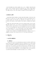 애니콜의 마케팅, 소비자행동 분석-11