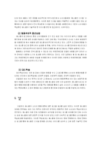 애니콜의 마케팅, 소비자행동 분석-17