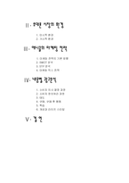 애니콜의 마케팅, 소비자행동 분석-19