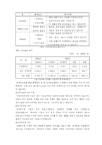 [인터넷마케팅] 디시인사이드 마케팅과 미래-10