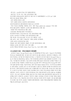 [국제경영] 오리온 초코파이의 해외 성공요인-5