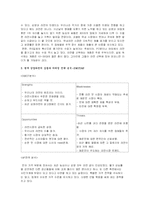 [마케팅] 삼양라면의 마케팅 전략 분석-4