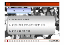 [성매매특별법] 성매매는 근절될것인가-3