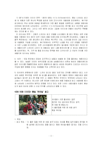 광고분석 레포트-2