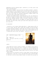 영화로 본 로마 - 스파르타쿠스와 글래디에이터, 그리고 로마 노예제-12