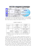 위성 DMB사업 레포트-5