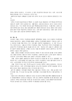 [도시행정] 서울시 주택가 주차문제와 올바른 정책방향-10