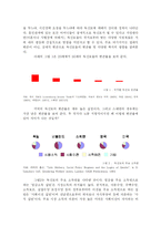 [여성복지정책] 미혼모, 여성복지, 그리고 여성의 빈곤화-5