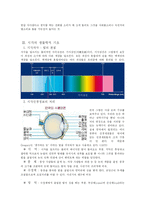 [심리학] 제5장 감각과 지각-3