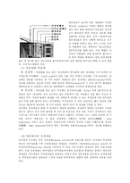 [심리학] 제5장 감각과 지각-4