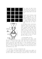 [심리학] 제5장 감각과 지각-5