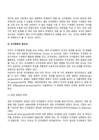 조직문화의 개념과 기능, 자신의 의견을 포함하여 조직문화의 중요성에 대해서 기술하시오-4