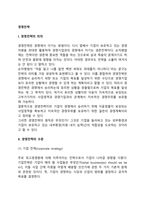 경영전략의 의의와 수준-2
