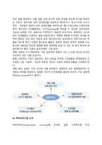 [현대 경영조직구조] 사내 벤처·분사조직, 팀조직, 역피라미드형 조직-4