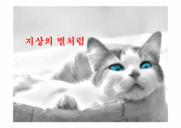 지상의별처럼 사회복지관점 영화감상문(장애인주인공, 주의력결핍장애, ADHD, 난독증)PPT, 프레젠테이션-1