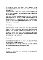 사우스웨스트항공 마케팅 4P,STP,SWOT분석-4