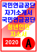 국민연금공단 자소서 청년인턴 국민연금공단 자기소개서 가장 열정적으로 임했던 경험 국민연금공단 국민연금제도를 시행하는 목적 국민연금공단자소서-1