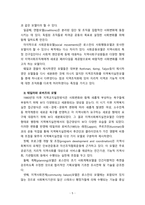 [지역사회복지론] 지역사회복지실천 3개 모델에 대한 학자들의 이론을 각각 정리하시오-5