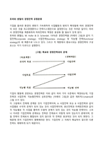 호퍼와 쉔델의 경영전략 유형분류-2
