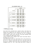 호퍼와 쉔델의 경영전략 유형분류-3