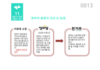 노사정 대타협의 사례와 전망-13