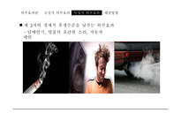 긍정적 외부효과 부정적 외부효과-6