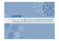 경영학 - 지주회사 (Holding Company)-1
